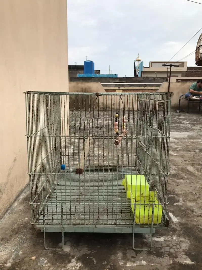 Large Bird Cage | Parrot Cage | Good Condition — photo 2