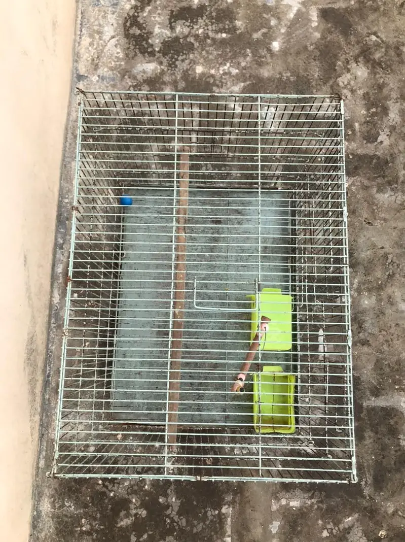 Large Bird Cage | Parrot Cage | Good Condition — photo 3