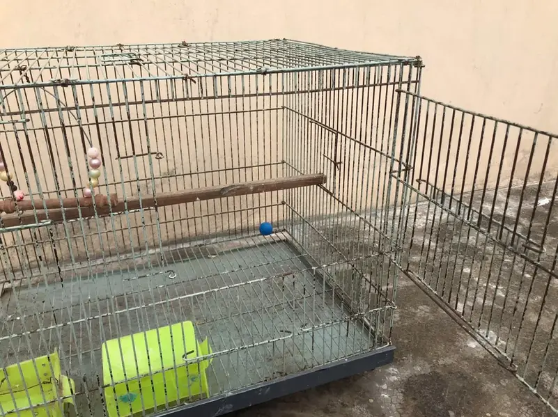 Large Bird Cage | Parrot Cage | Good Condition — photo 4