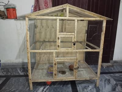 Australian Parrots with Wooden Cage for Sale