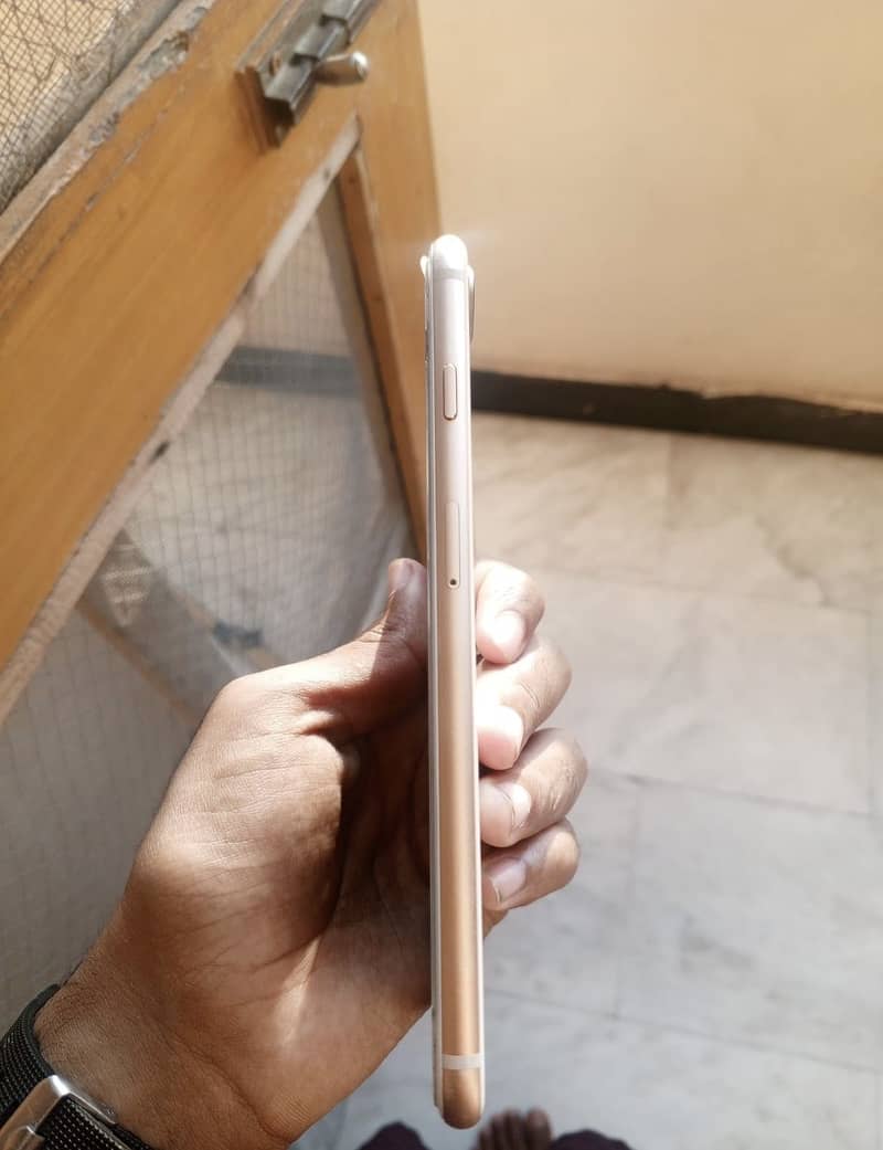 Apple iPhone 8 Plus 4