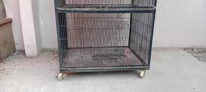 4 compartment iron cage for chicken for sell