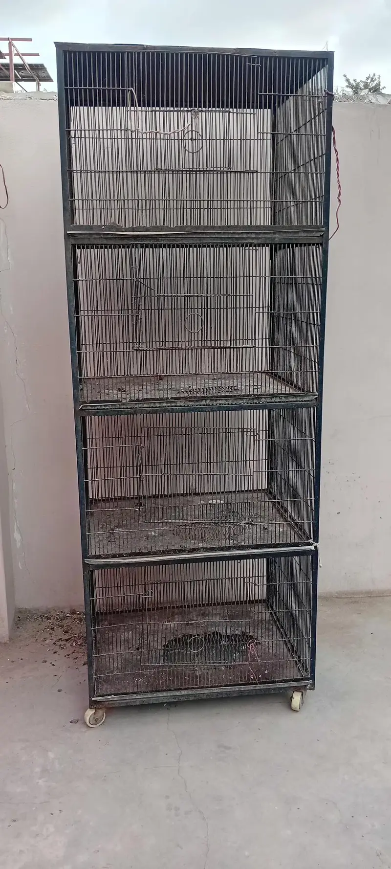 4 compartment iron cage for chicken for sell — photo 2