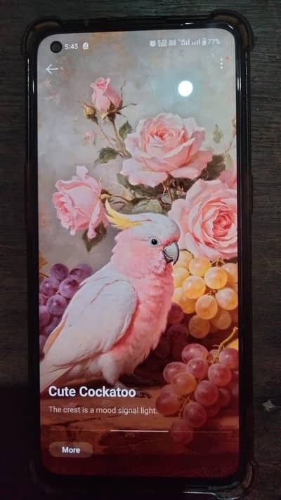OPPO Reno6