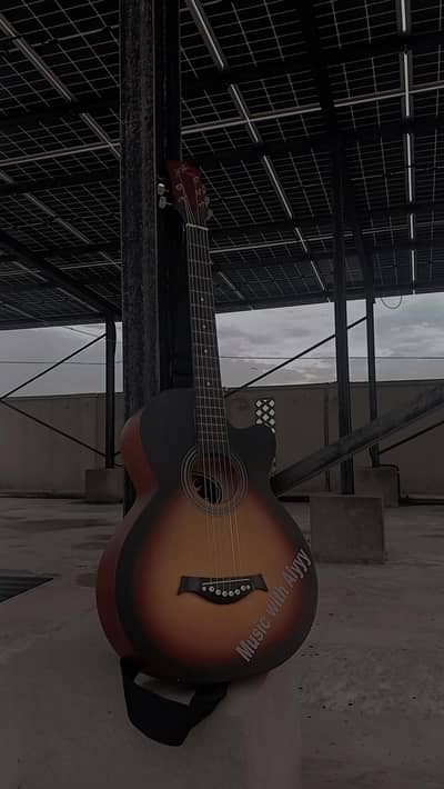 Guitar acoustic Swift Horse
