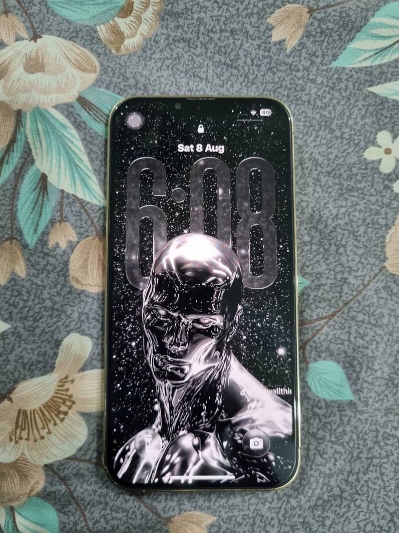 Apple iPhone 13 Pro Max 1