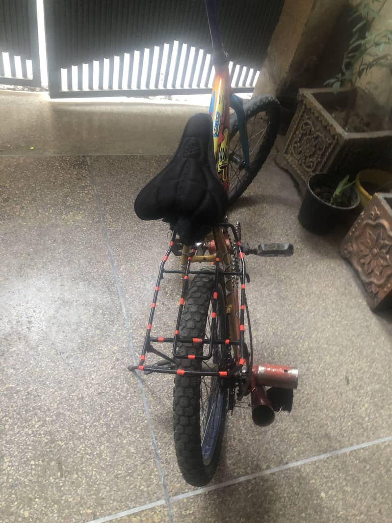 Phonix cycle 2