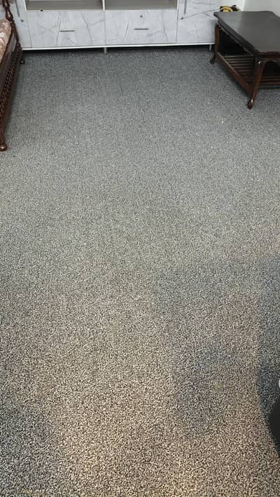 Soft Carpet with 3 inch foam