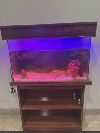 Aquarium with complete accessories and fishes