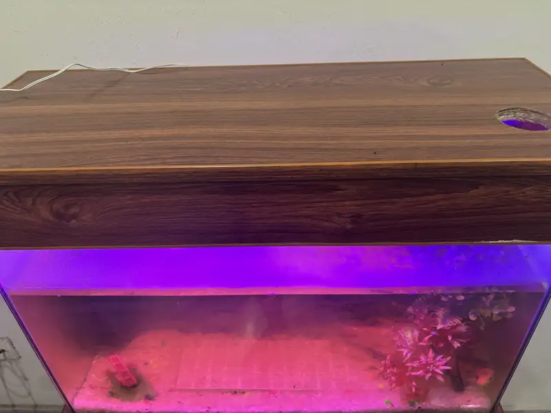 Aquarium with complete accessories and fishes — photo 2