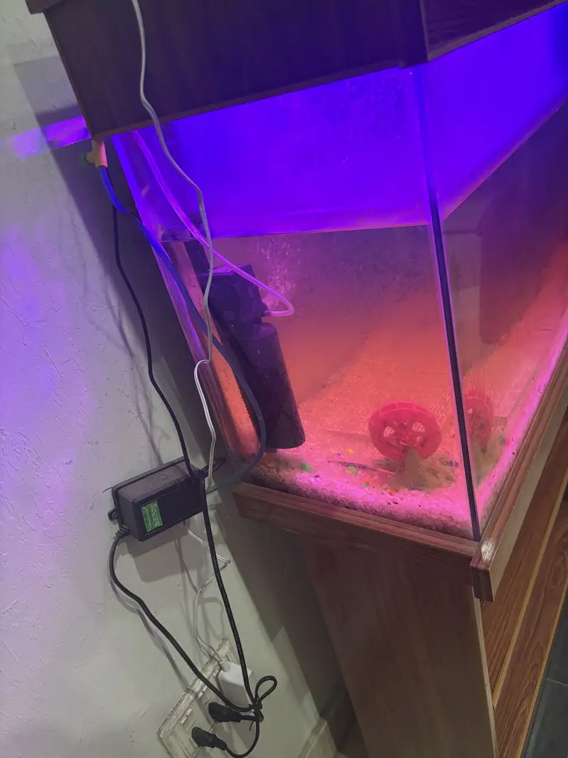 Aquarium with complete accessories and fishes — photo 4