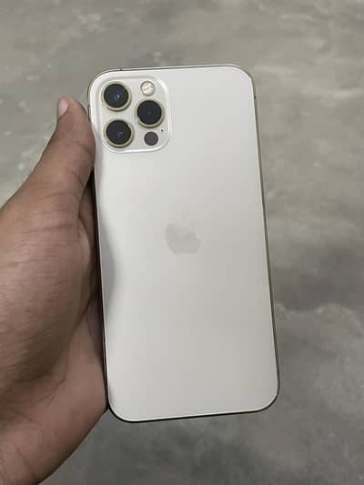 256gb 12 pro