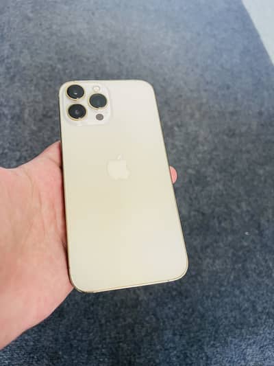 Apple iPhone 13 Pro Max