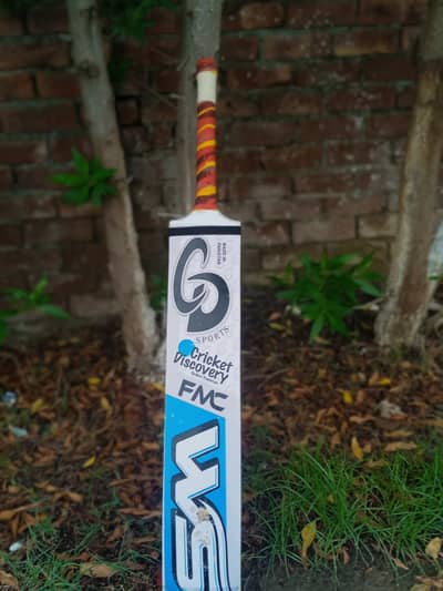 cricket bat