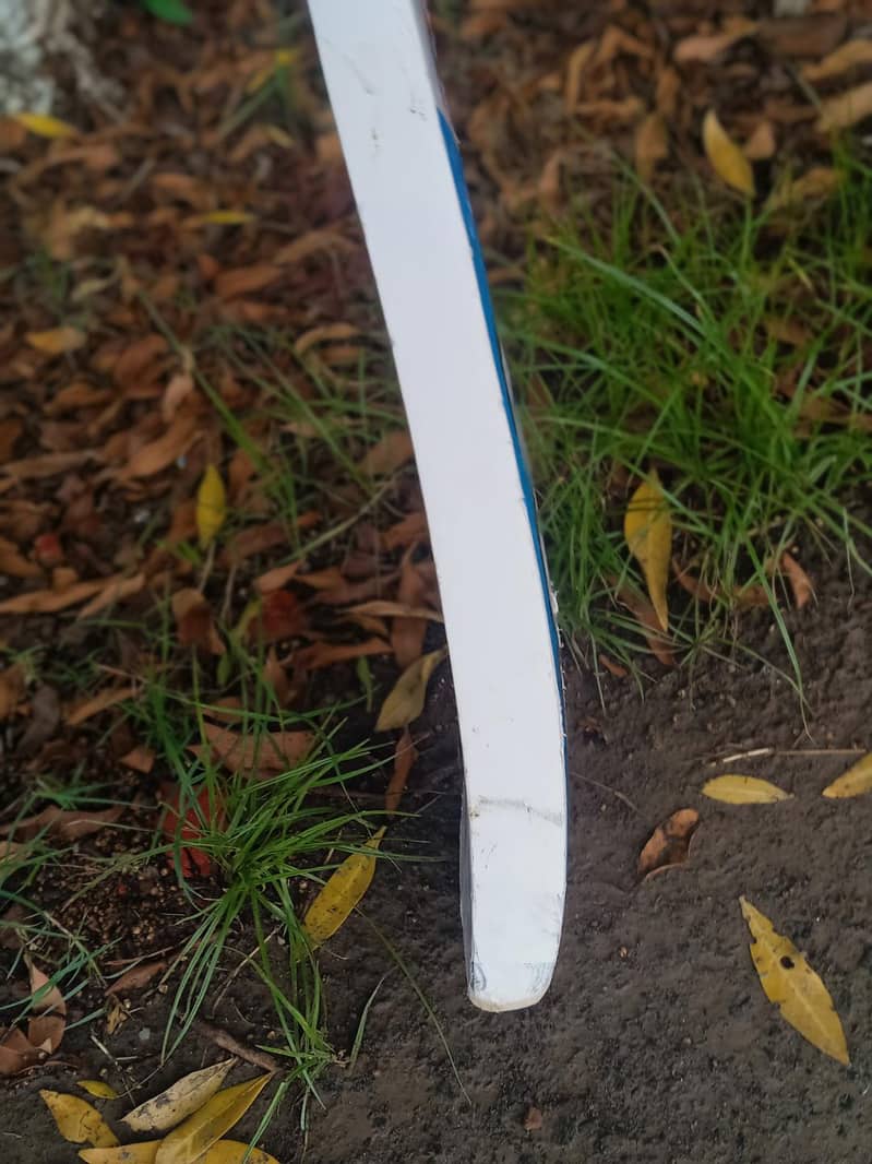 cricket bat 2