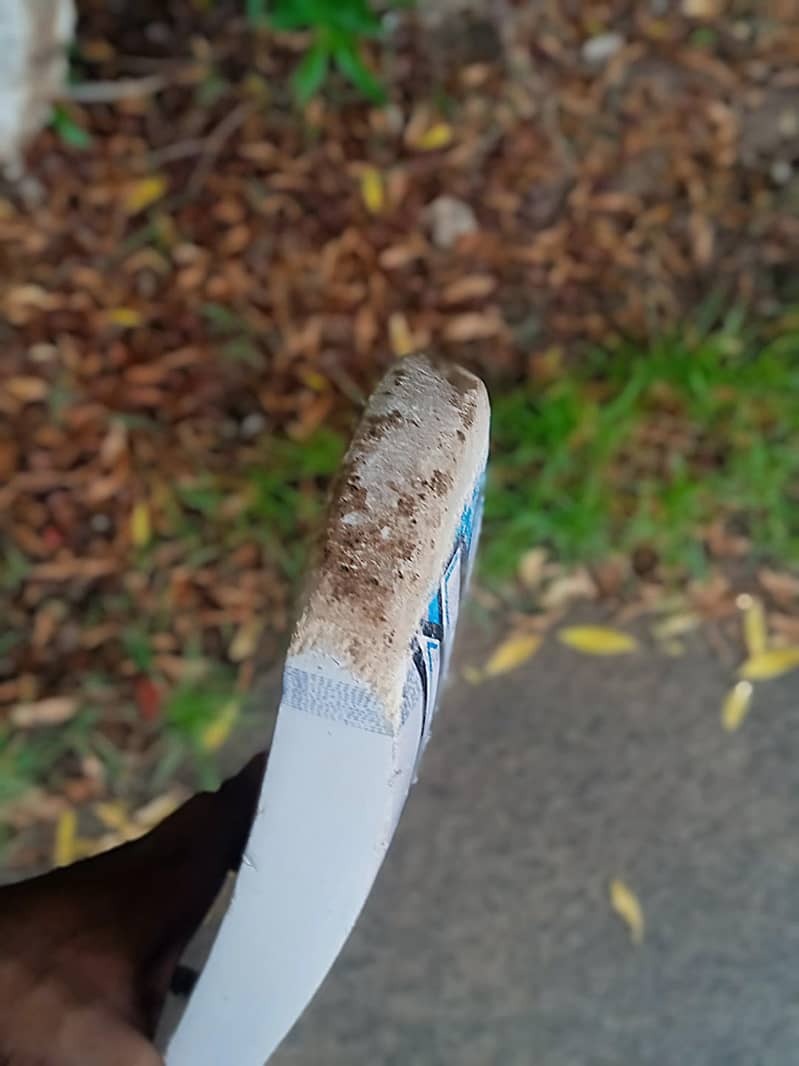 cricket bat 3