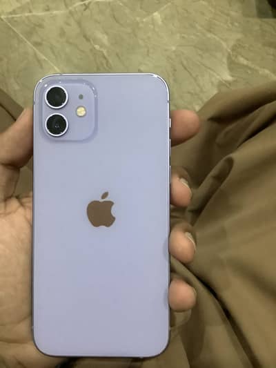 Apple iPhone 12