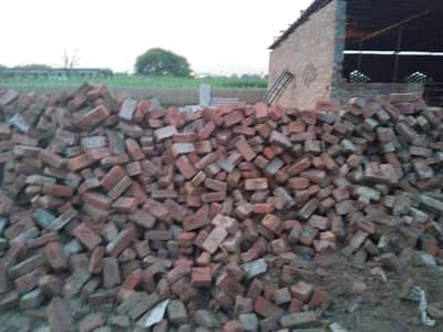 bricks
