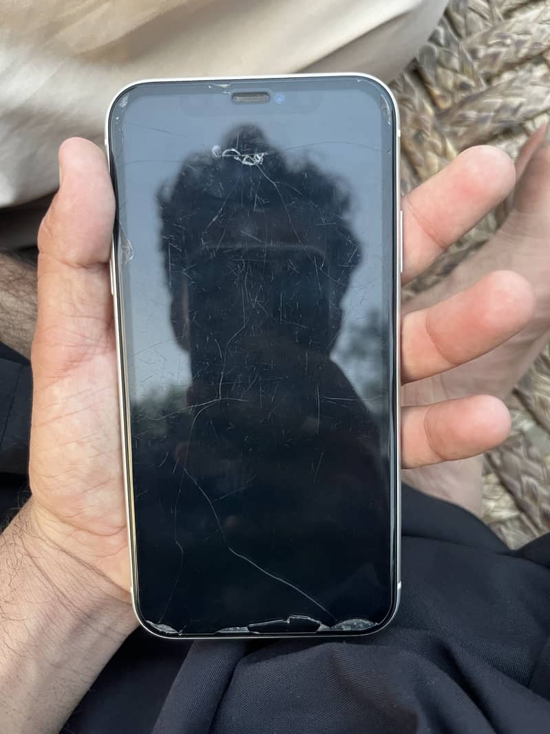 Apple iPhone 11 2