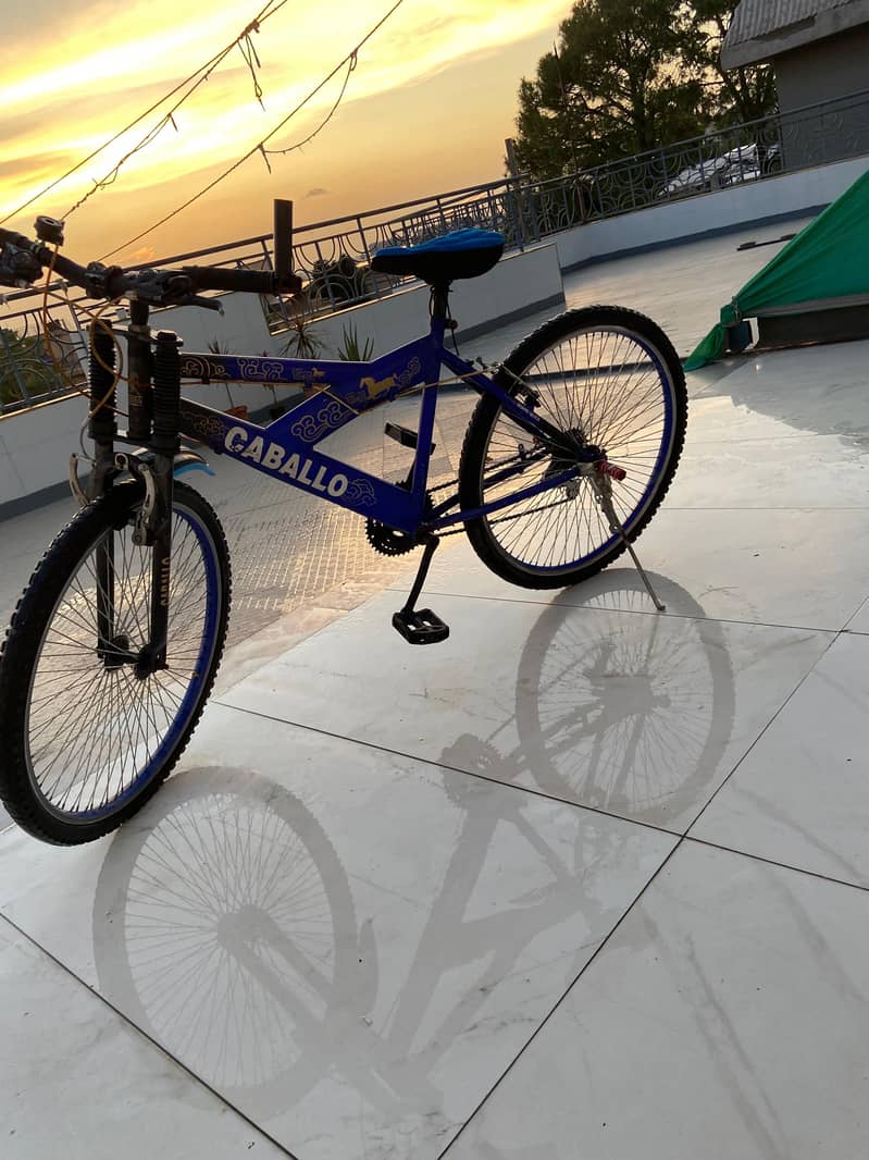 cycle Caballo 1