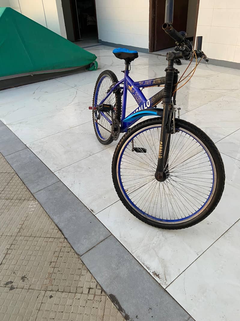 cycle Caballo 2