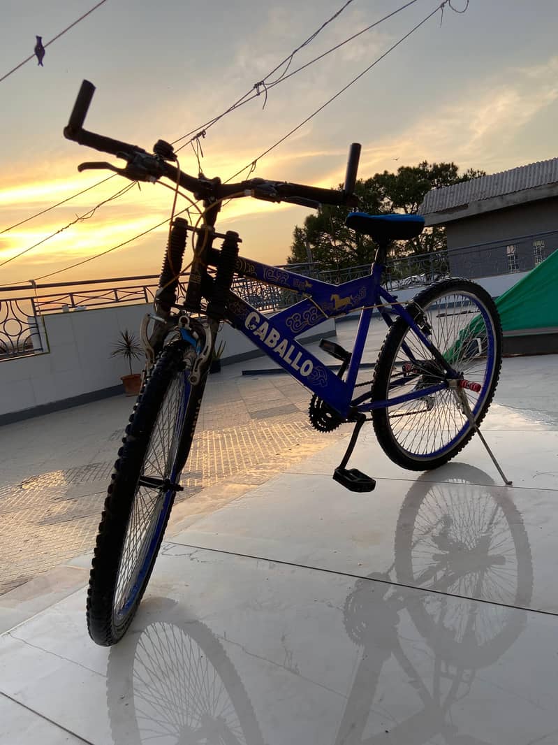 cycle Caballo 3