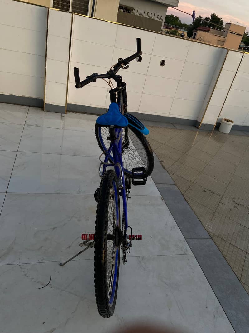 cycle Caballo 4