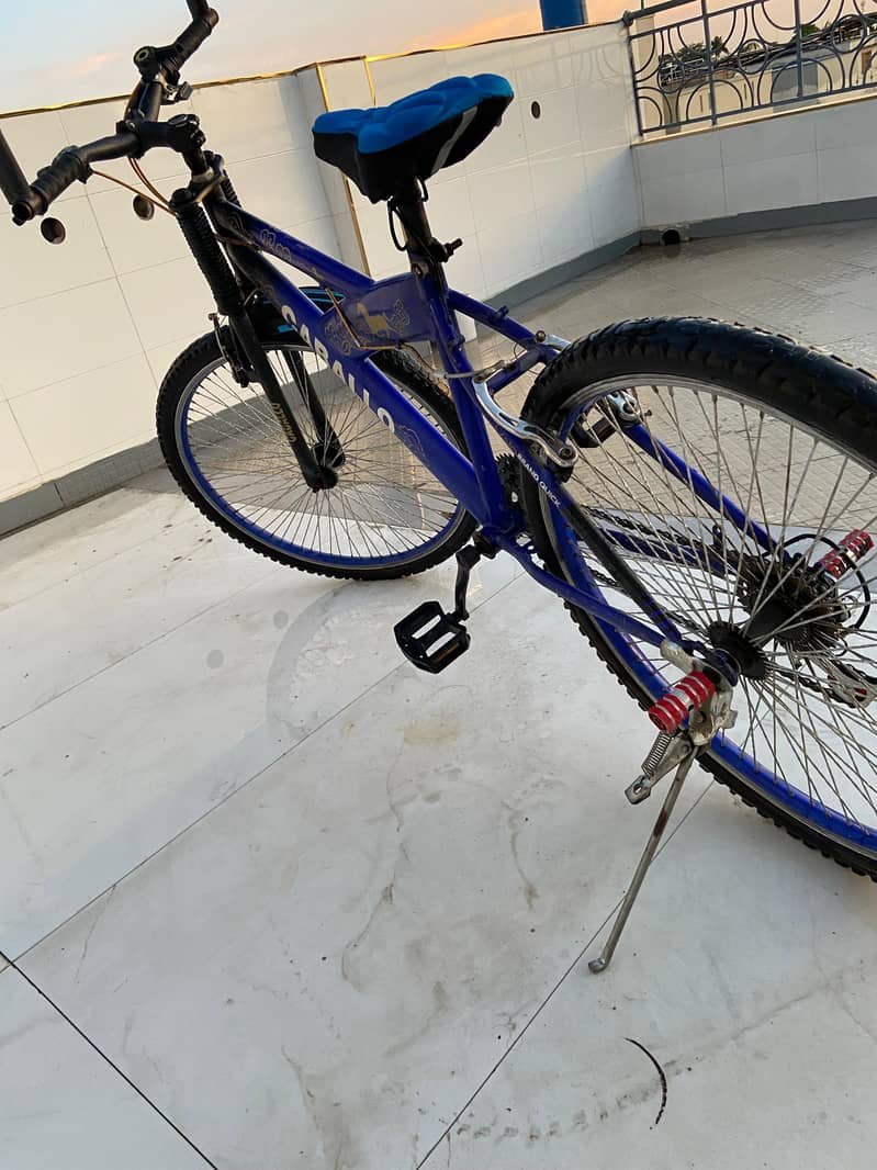 cycle Caballo 7