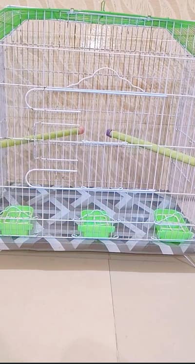 Big size cage and bird urgent sell