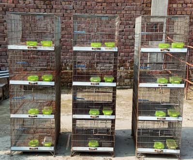 cages sale
