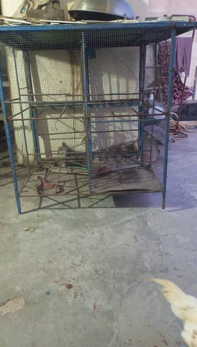 4 potions Cage for sale