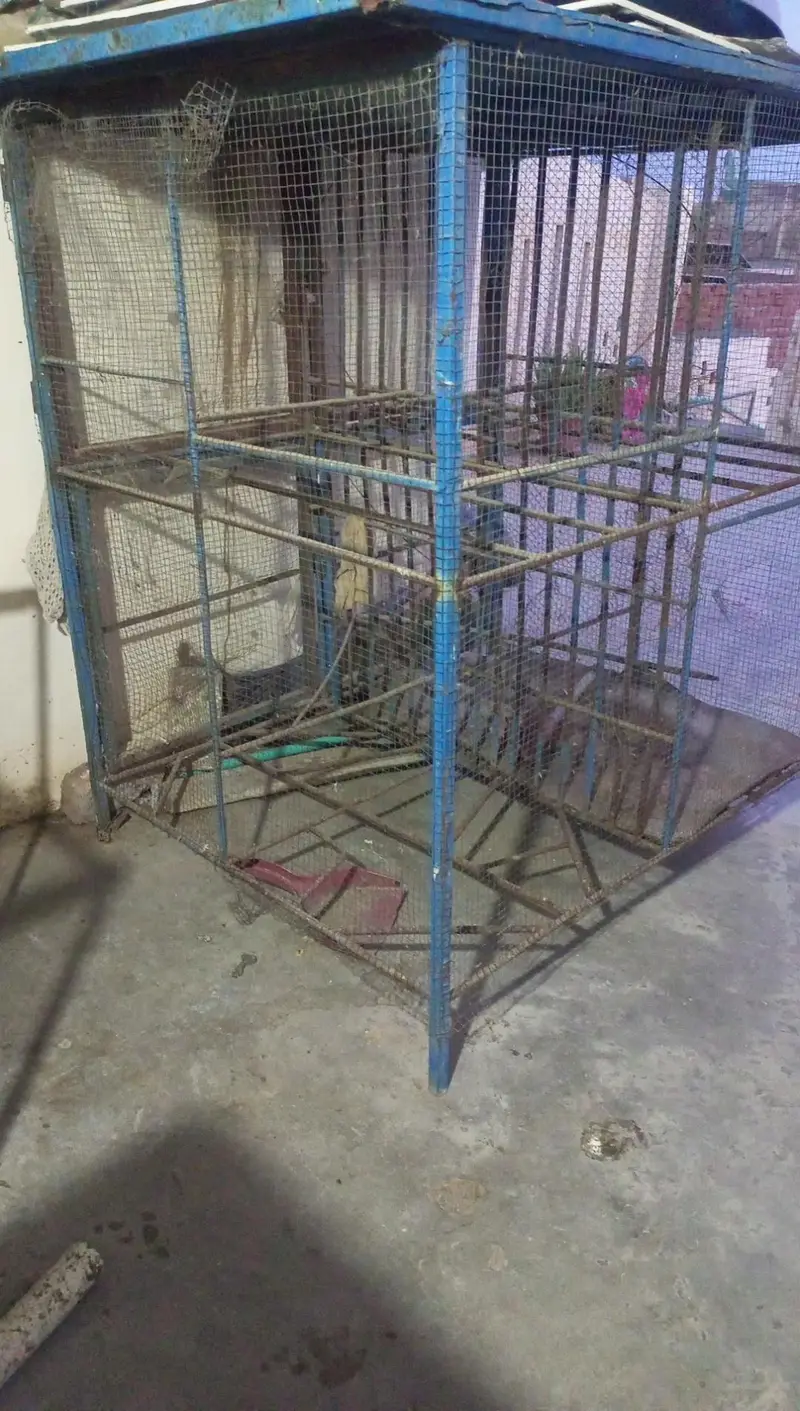 4 potions Cage for sale — photo 2