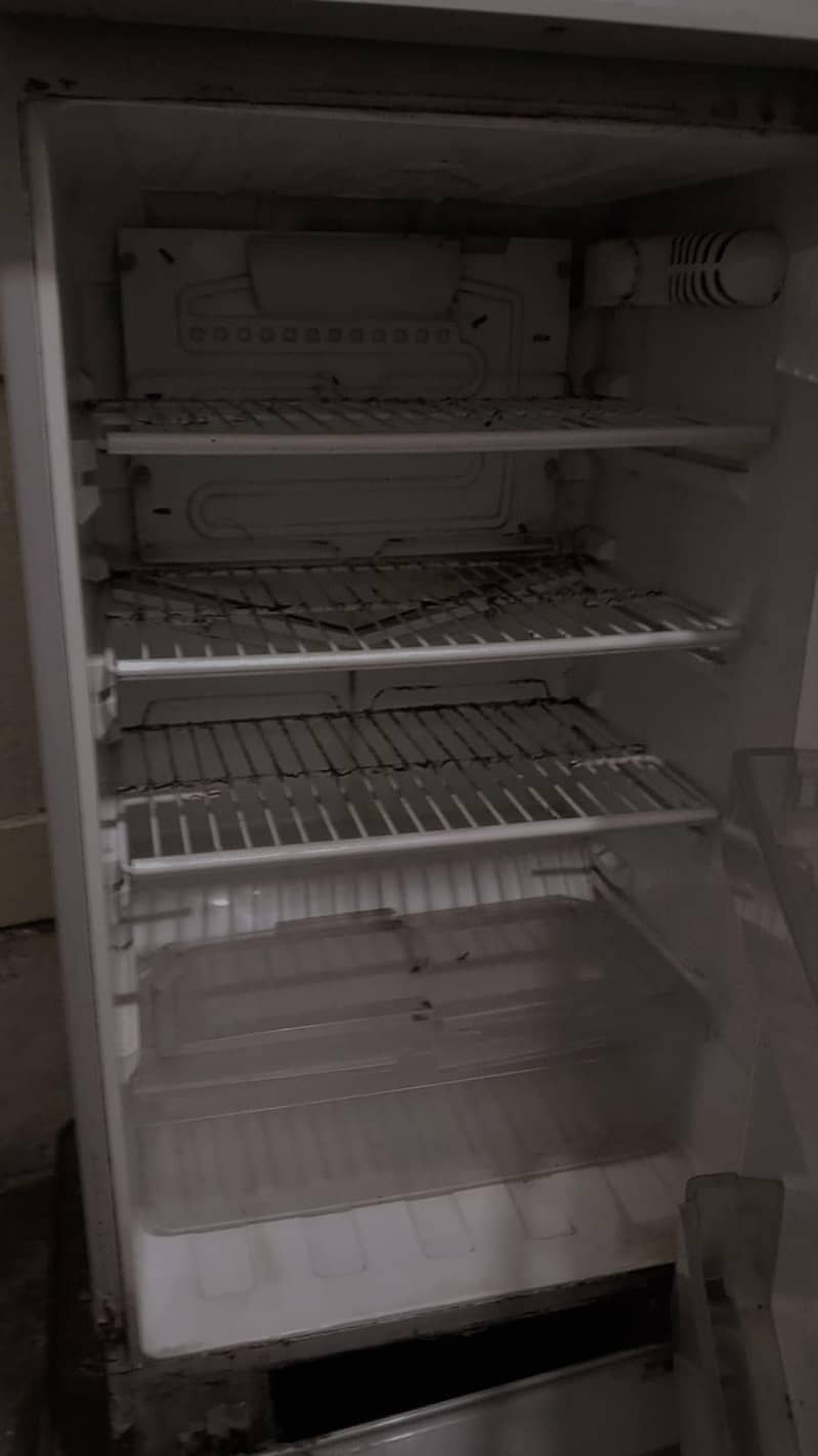 fridge 5