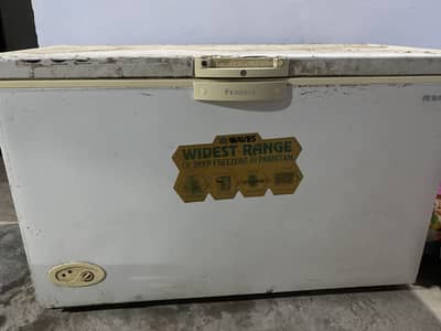 Waves Large size freezer for sale (Gas Leakage Issue)