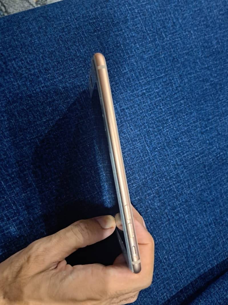 Apple iPhone 8 Plus 1