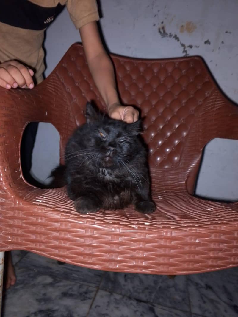 __________ 3