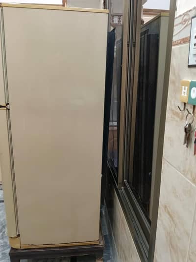 PEL Freezer