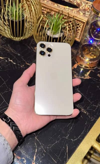 Apple iPhone 12 Pro Max