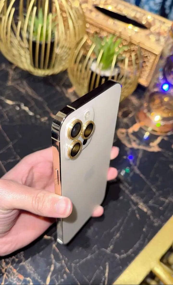 Apple iPhone 12 Pro Max 1