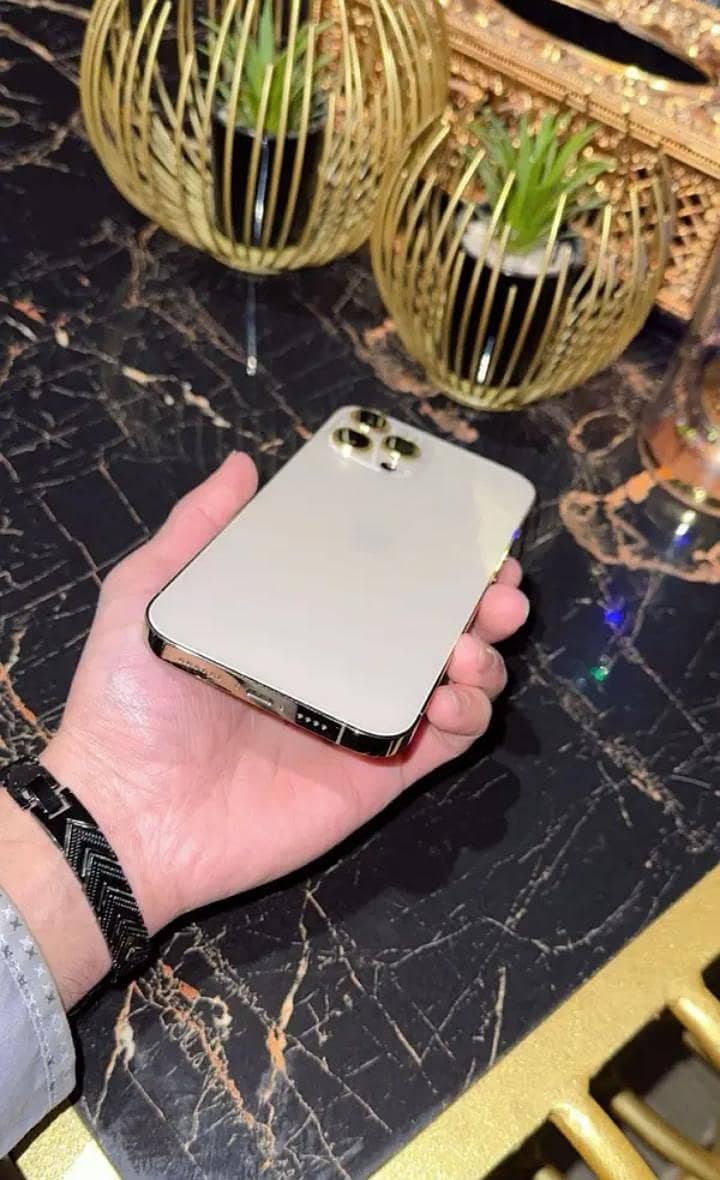 Apple iPhone 12 Pro Max 2