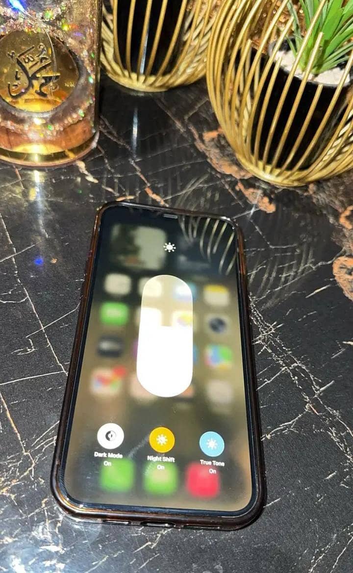 Apple iPhone 12 Pro Max 5
