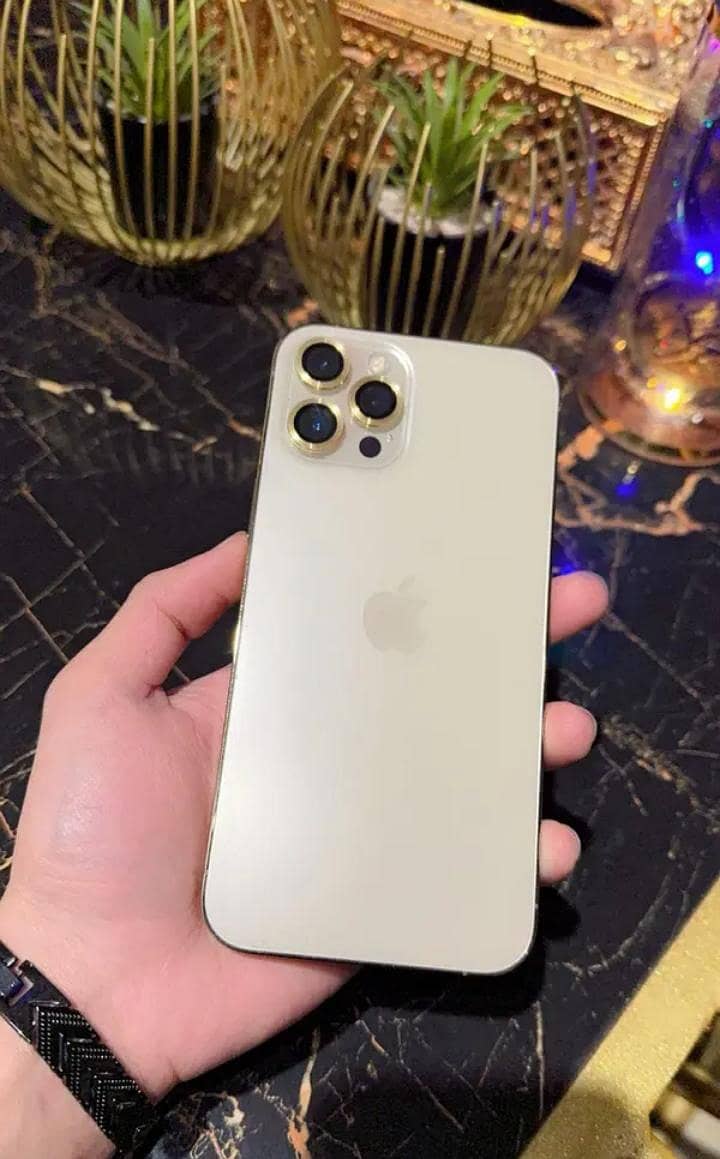 Apple iPhone 12 Pro Max 9