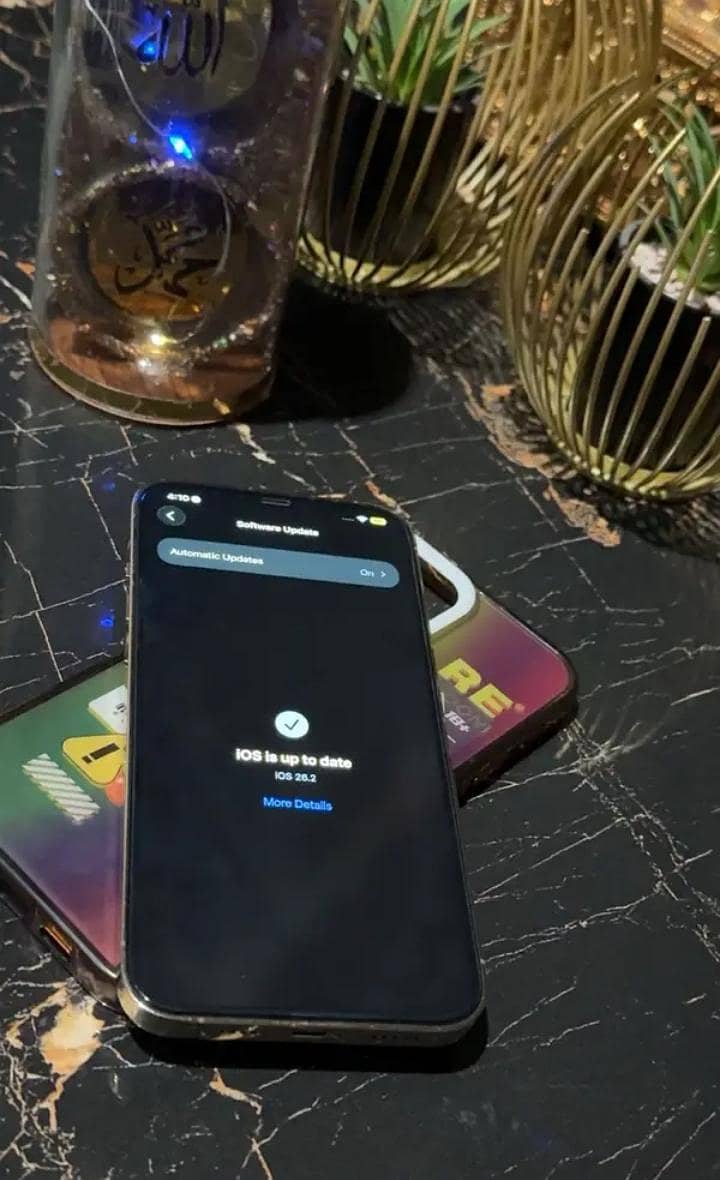 Apple iPhone 12 Pro Max 10