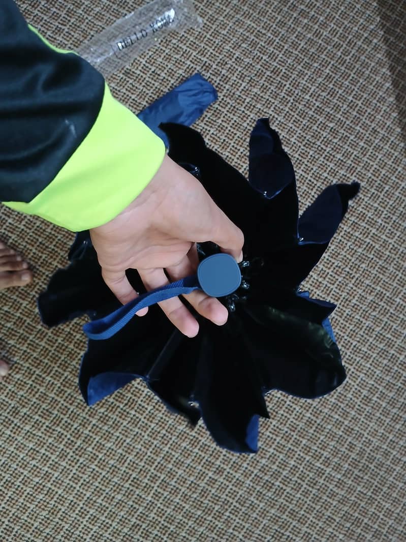 Improted Umbrella 2