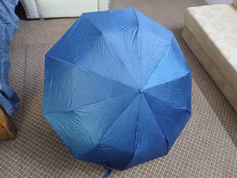 Improted Umbrella 4
