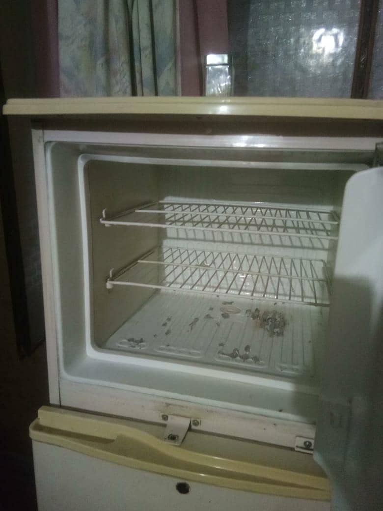 Fridge 4