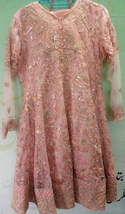 new braind maxi