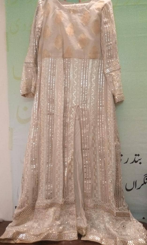 new braind maxi 1