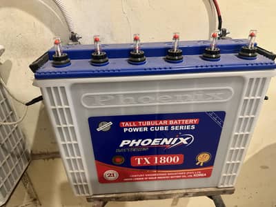 2 Tall Tabular batteries for sell