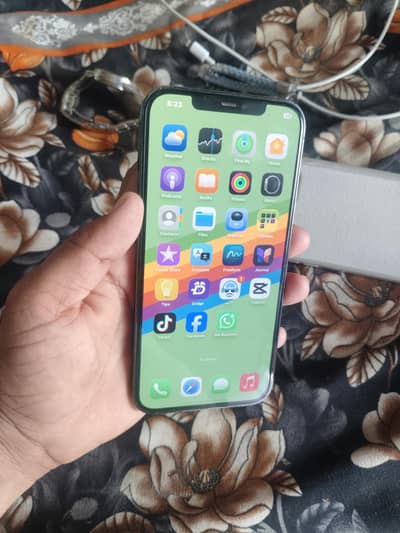 Apple iPhone 12 Pro Max